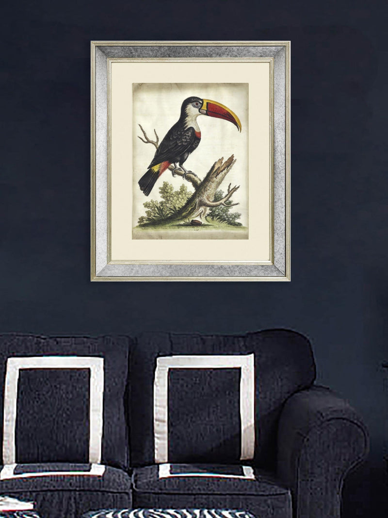 Brookpace Lascelles toucan print in antique mirrored frame, imported from the UK