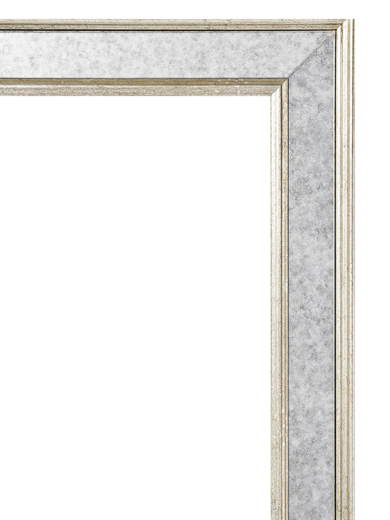 Brookpace Lascelles toucan print in antique mirrored frame, imported from the UK