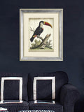 Brookpace Lascelles toucan print in antique mirrored frame, imported from the UK