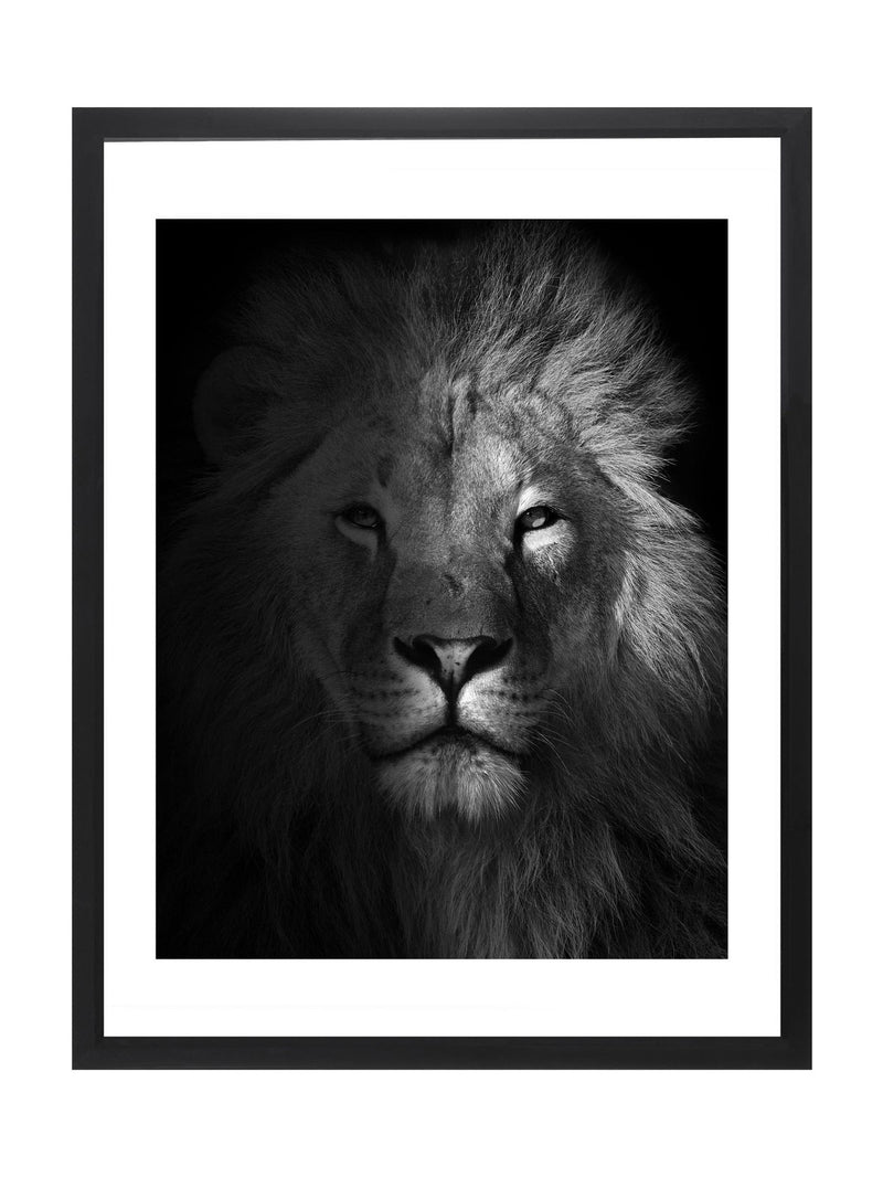 Brookpace Lascelles black lion framed wall art - British product