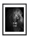 Brookpace Lascelles black lion framed wall art - British product