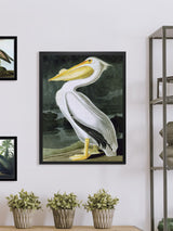 Next Brookpace Lascelles White Pelican Framed Wall Art 86x66cm- Buy online at McGrocer
