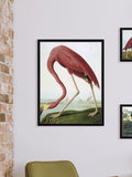 Brookpace Lascelles red flamingo framed wall art - British product