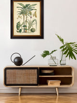 Next Brookpace Lascelles Fruitful Palm II Black Framed Wall Art 51cm x 41cm- Buy online at McGrocer