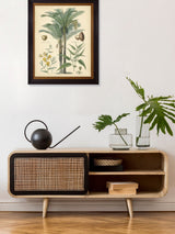 Next Brookpace Lascelles Black Fruitful Palm I Framed Wall Art 51cm x 41cm- Buy online at McGrocer
