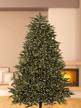 Next Premier Decorations Ltd Tree Brights 18.7m Christmas Lights with Timer- Buy online at McGrocer
