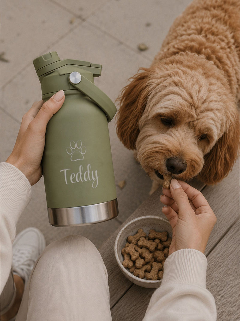 Loveabode dog travel bottle 3-in-1 32oz, imported from the UK