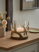 Next Natural Antler Hurricane Candle Holder for Pillar Candles 15.5cm Height- Buy online at McGrocer