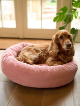 Next Pink Corduroy Round Pet Bed- Buy online at McGrocer