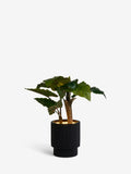 Artificial Light Up Alocasia Plant 115cm, UK version