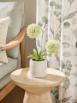 Next White Artificial Allium Plant in Ribbed Ceramic Pot 31.5cm- Buy online at McGrocer