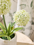 White artificial allium plant in ribbed ceramic pot 31.5cm tall (British brand)