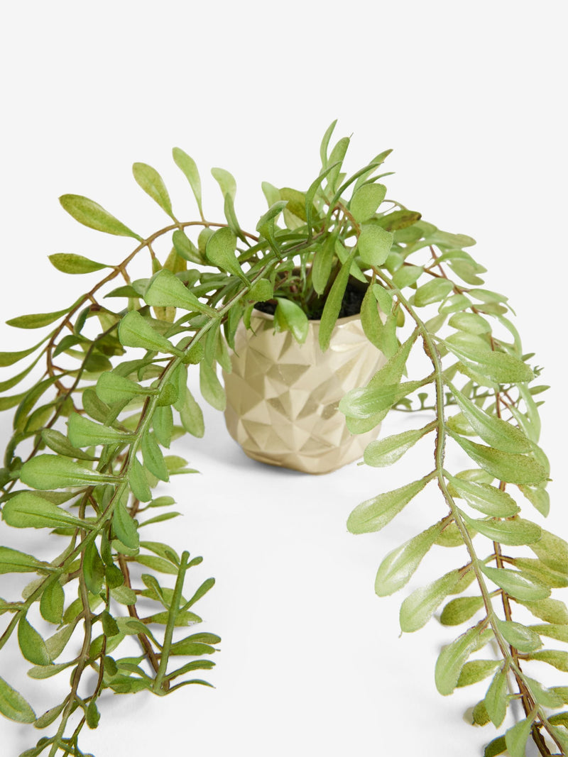 Artificial trailing plant in mini gold hex pot 39.5cm, UK version