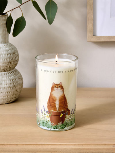Next Oransje Tiggy Katt Hvit Jasmin Søylelys 91,5 cm - Kjøp online hos McGrocer