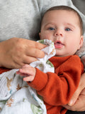 aden + anais muslin squares green essentials 5 pack, imported from the UK