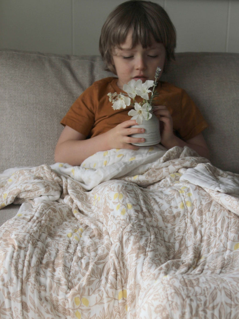 aden + anais White Dream silky soft 100% cotton baby blanket (British brand)