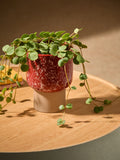 MADE.COM Terracotta and White Santiago Hand Splatter Small plant pot, imported from the UK