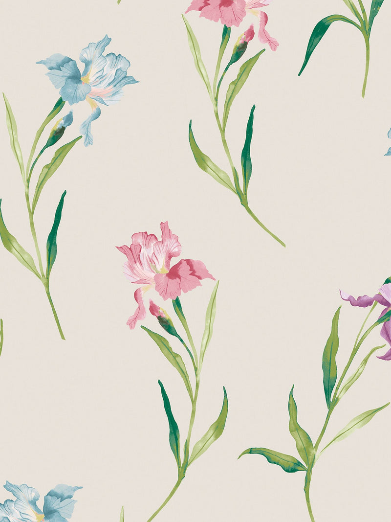 Laura Ashley Hawling Irises wallpaper sample A4, UK version
