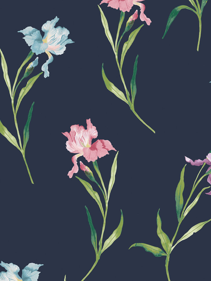 Laura Ashley Hawling Irises wallpaper sample A4, imported from the UK