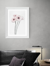Next East End Prints White Gerbera Daisy Framed Art Print- Buy online at McGrocer