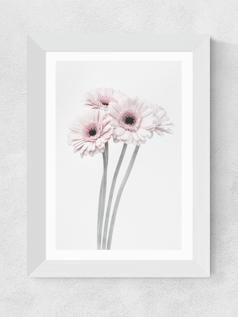 East End Prints White Gerbera Daisy Framed Art Print