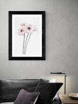 Next East End Prints Black Gerbera Daisy Framed Art Print- Buy online at McGrocer