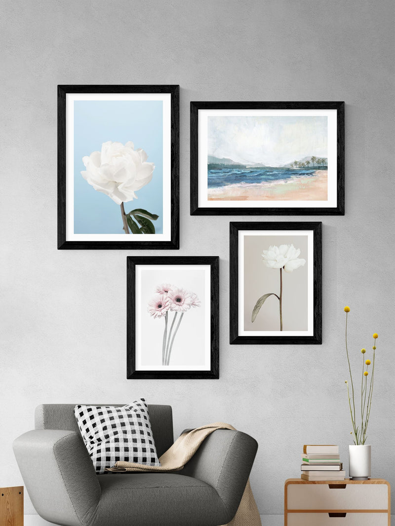 East End Prints Black Gerbera Daisy framed art print - British product