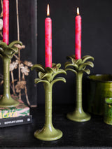 Next Rockett St George Green Palm Tree Taper Holder 25cm- Buy online at McGrocer