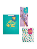 Hallmark celebratory designs gift bags set of 3, UK version