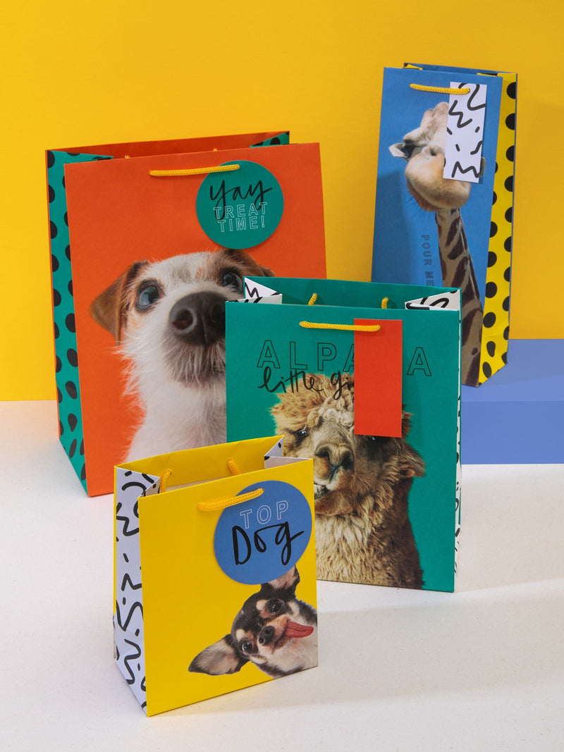 Hallmark funny animal designs gift bag set of 4, UK version