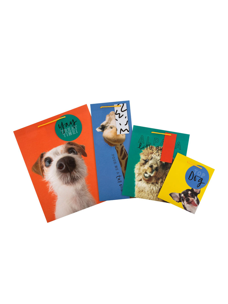 Hallmark funny animal designs gift bag set of 4, UK version