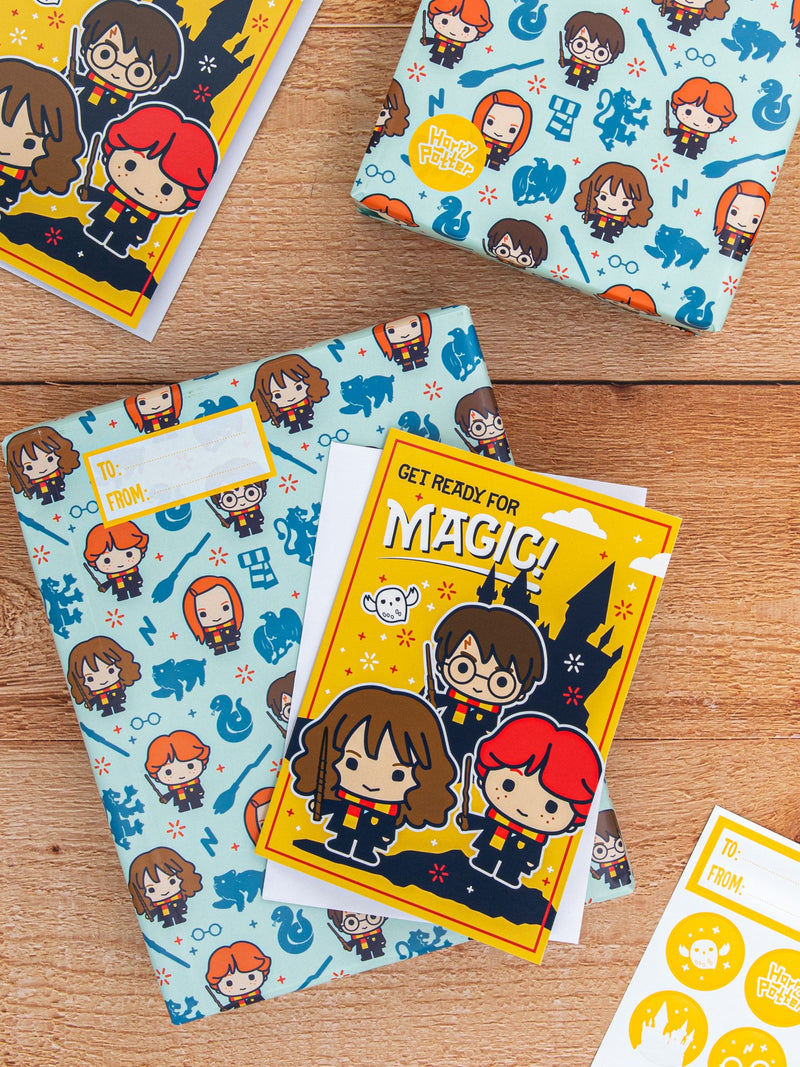 Hallmark Harry Potter gift wrap set 2 pack, UK version