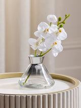 Next Artificial White Orchid In Small Glass Vase 23cm- Buy online at McGrocer