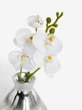 Artificial white orchid in glass vase 23cm tall (British brand)