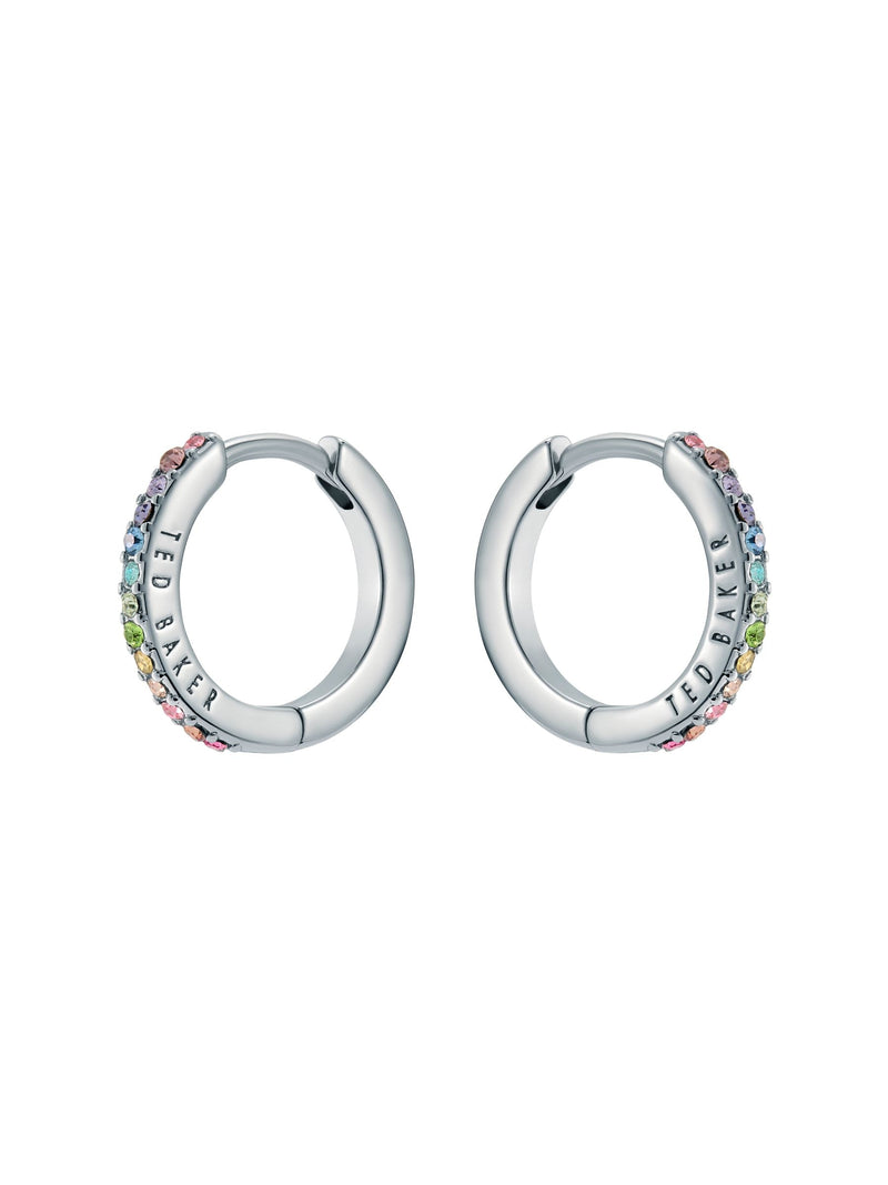Ted Baker Crystal Hoop Earrings Rainbow Pastel 14mm (British brand)