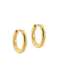 Ted Baker gold hoop earrings 1.3cm wide (British brand)