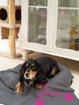 Next Jonny's Sister Personalised Fleece Pet Blanket 100 x 80cm- Buy online at McGrocer
