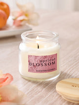 Next Apricot Blossom Mango & Mandarin Country Classic Mini Candle 6cm- Buy online at McGrocer