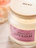 Apricot Blossom Mango & Mandarin mini candle 6cm - British product