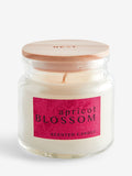 Apricot Blossom Mango & Mandarin mini candle 6cm - British product