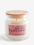 Apricot Blossom Mango & Mandarin mini candle 6cm - British product