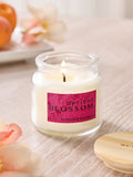 Apricot Blossom Mango & Mandarin mini candle 6cm - British product