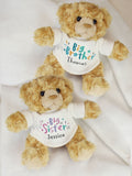 PMC personalised Big Sister teddy bear (British brand)