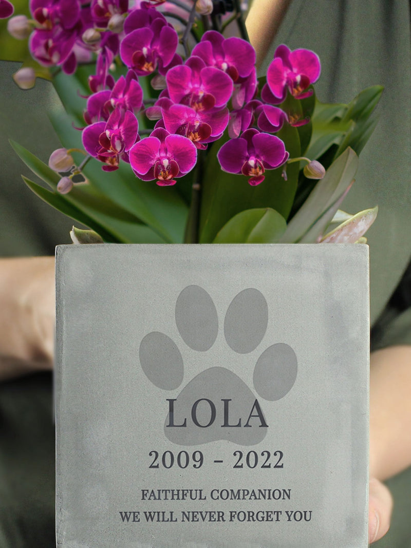 PMC personalised pet memorial concrete plant pot 10x10x10cm - British product
