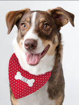 Next PMC Personalised Polka Dot Dog Bandana- Buy online at McGrocer