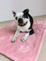 Next RUFF Personalised Pampered Pup Plush Blanket- Buy online at McGrocer