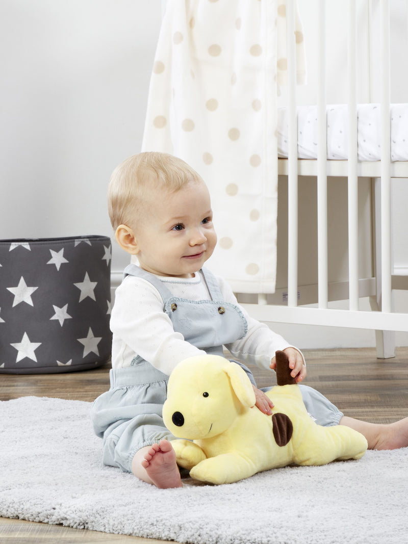 Rainbow Designs Large Spot soft toy 33cm, UK version
