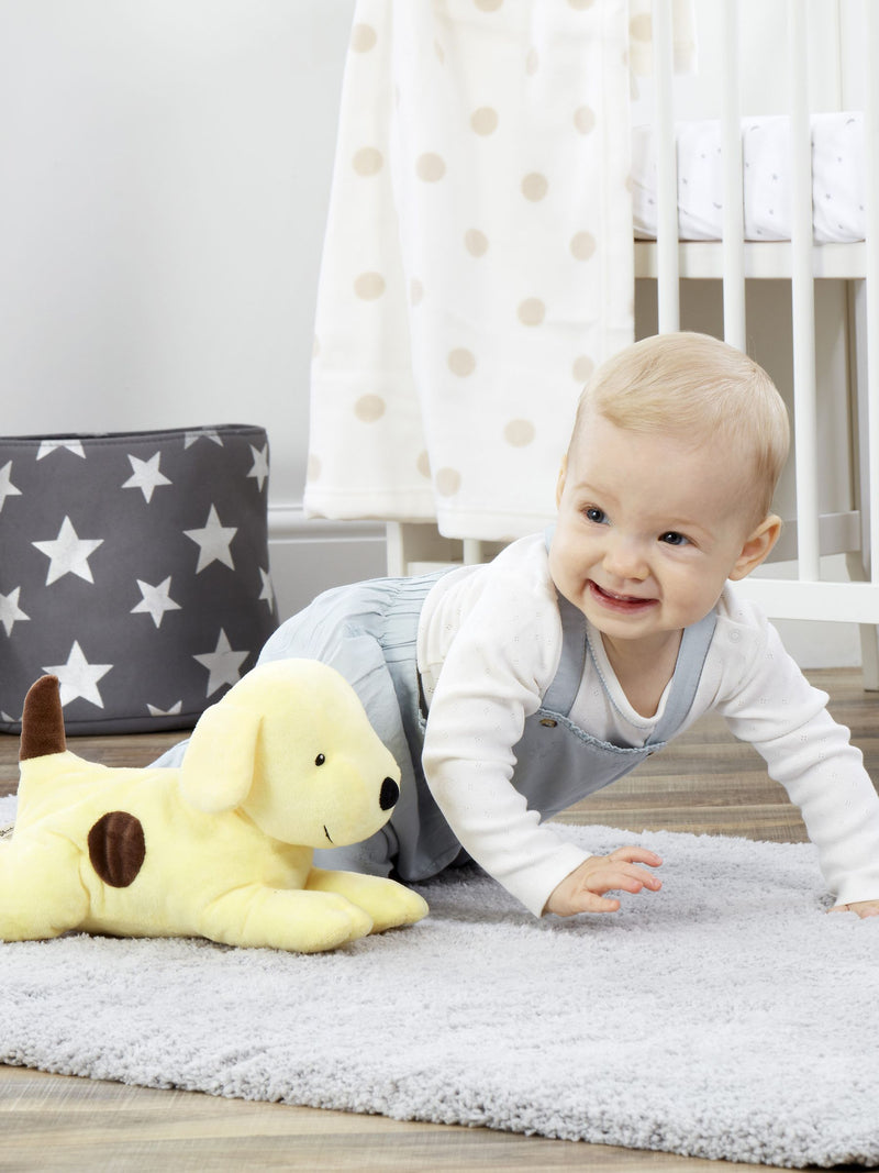 Rainbow Designs Large Spot soft toy 33cm, UK version