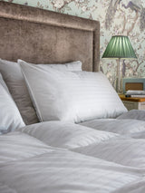 Next Laura Ashley White Natural Wool Pillow- Buy online at McGrocer