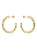 Ted Baker Gold Tone Pearl Peraa Medium Hoop Earrings (British brand)